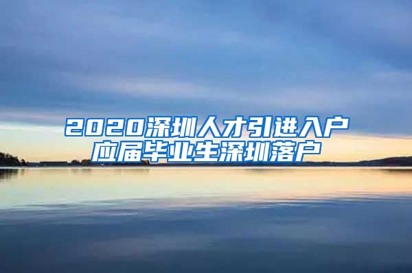 2020深圳人才引进入户应届毕业生深圳落户