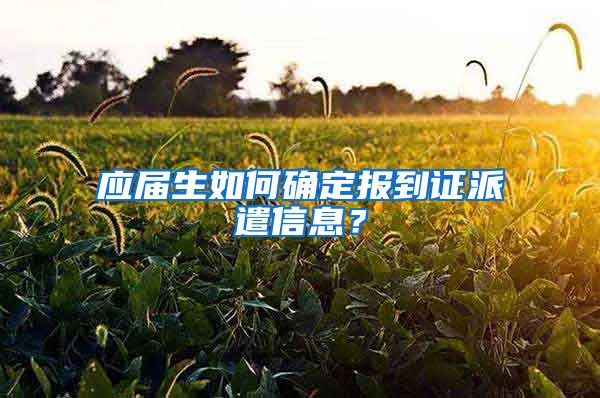 应届生如何确定报到证派遣信息？
