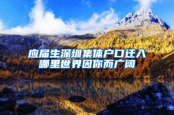 应届生深圳集体户口迁入哪里世界因你而广阔