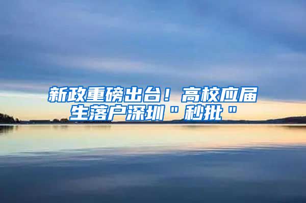 新政重磅出台！高校应届生落户深圳＂秒批＂
