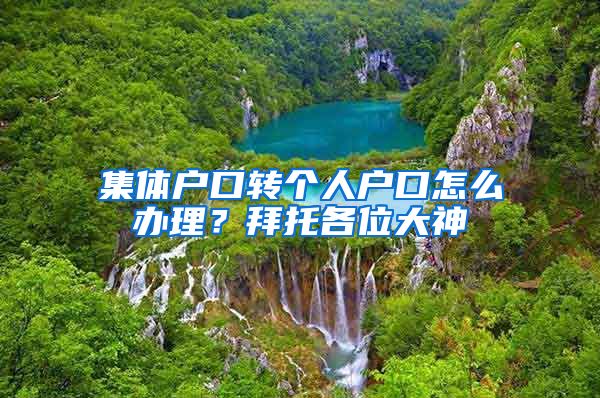 集体户口转个人户口怎么办理？拜托各位大神