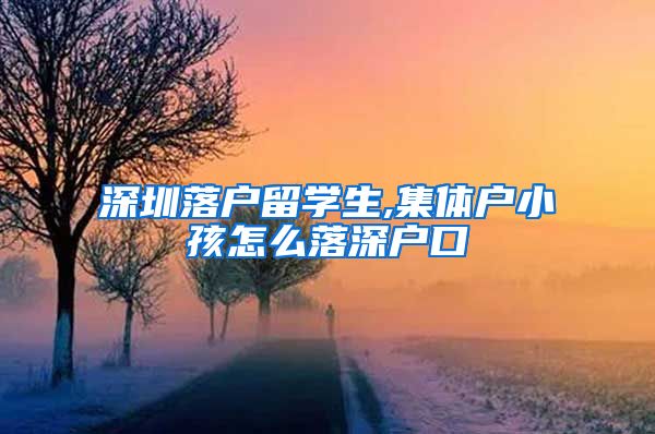 深圳落户留学生,集体户小孩怎么落深户口