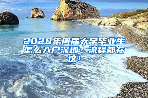 2020年应届大学毕业生怎么入户深圳？流程都在这！
