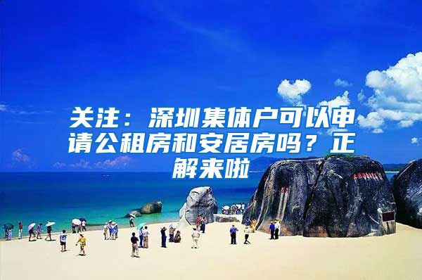 关注：深圳集体户可以申请公租房和安居房吗？正解来啦