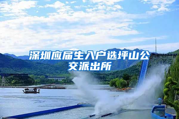 深圳应届生入户选坪山公交派出所