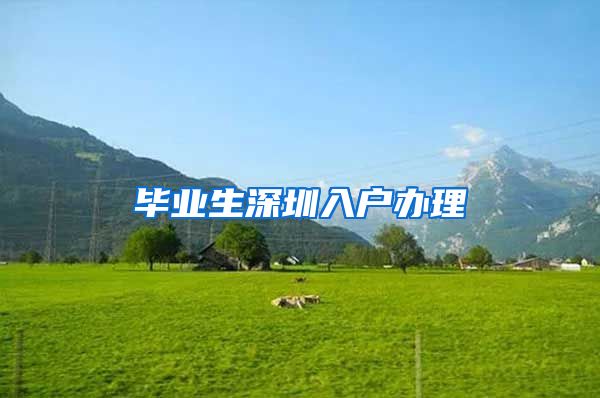 毕业生深圳入户办理