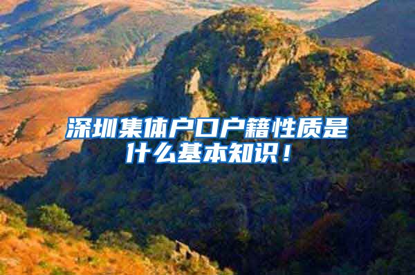 深圳集体户口户籍性质是什么基本知识！