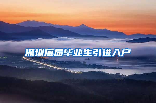 深圳应届毕业生引进入户