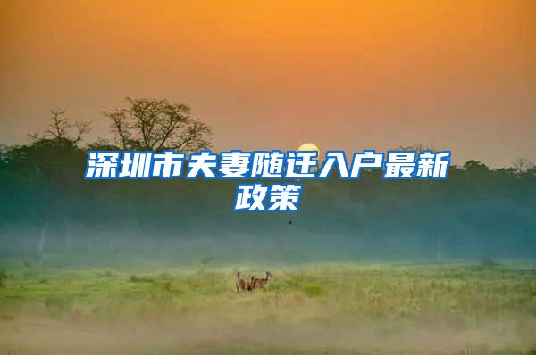 深圳市夫妻随迁入户最新政策