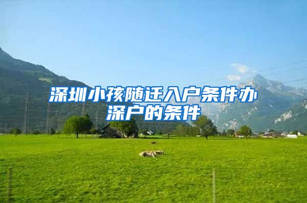 深圳小孩随迁入户条件办深户的条件