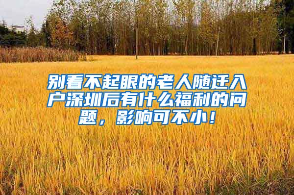 别看不起眼的老人随迁入户深圳后有什么福利的问题，影响可不小！