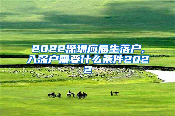2022深圳应届生落户,入深户需要什么条件2022