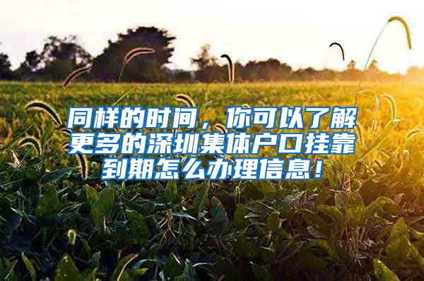 同样的时间，你可以了解更多的深圳集体户口挂靠到期怎么办理信息！