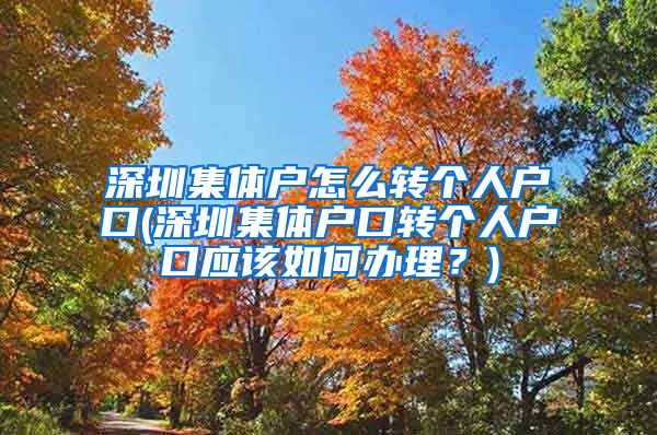 深圳集体户怎么转个人户口(深圳集体户口转个人户口应该如何办理？)