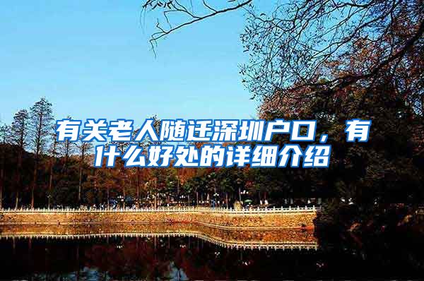 有关老人随迁深圳户口，有什么好处的详细介绍
