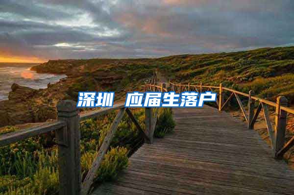 深圳 应届生落户