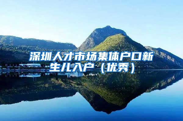 深圳人才市场集体户口新生儿入户（优秀）