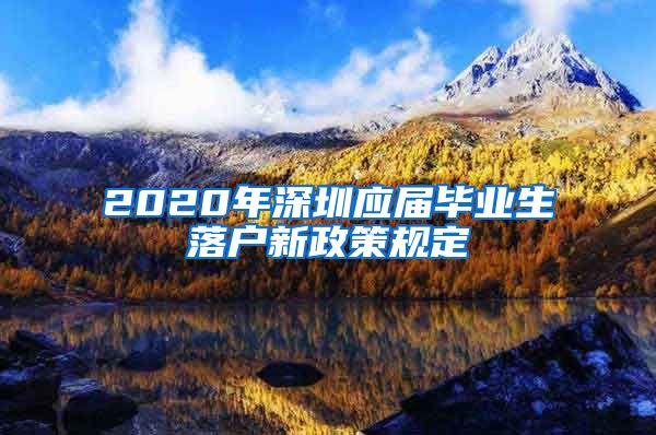 2020年深圳应届毕业生落户新政策规定
