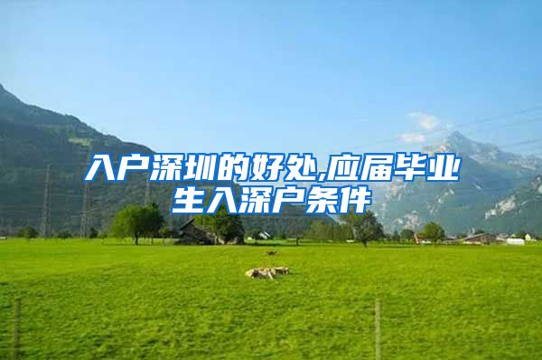 入户深圳的好处,应届毕业生入深户条件