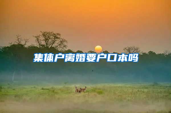集体户离婚要户口本吗