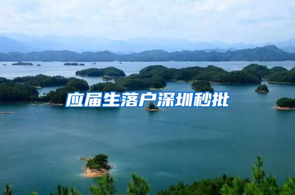 应届生落户深圳秒批