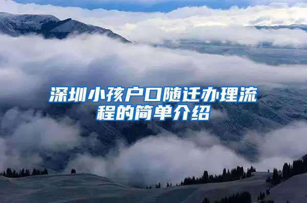 深圳小孩户口随迁办理流程的简单介绍