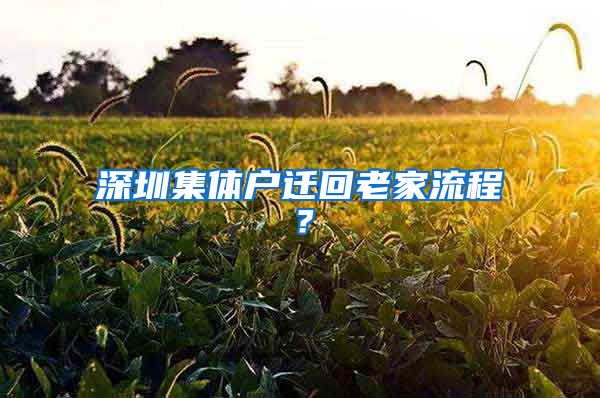 深圳集体户迁回老家流程？