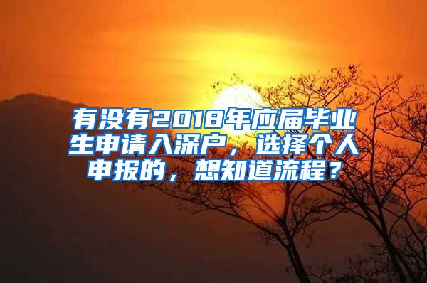 有没有2018年应届毕业生申请入深户，选择个人申报的，想知道流程？
