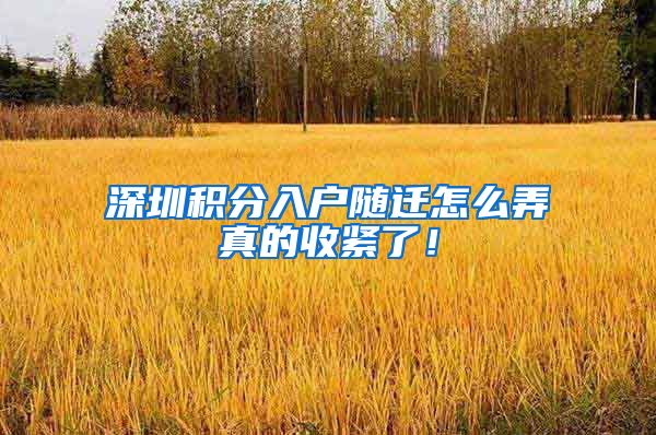 深圳积分入户随迁怎么弄真的收紧了！