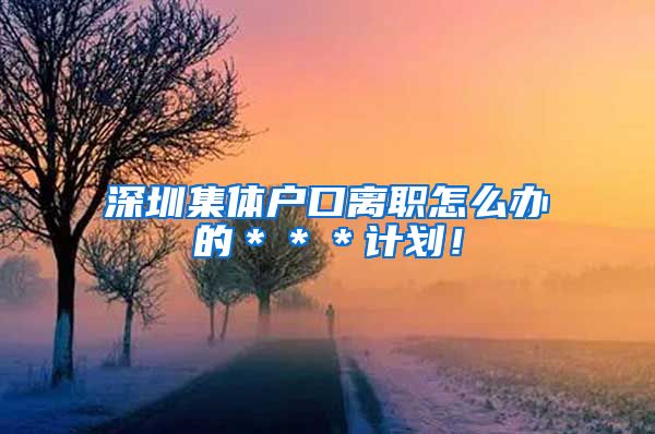 深圳集体户口离职怎么办的＊＊＊计划！
