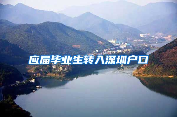 应届毕业生转入深圳户口