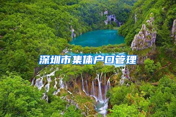 深圳市集体户口管理