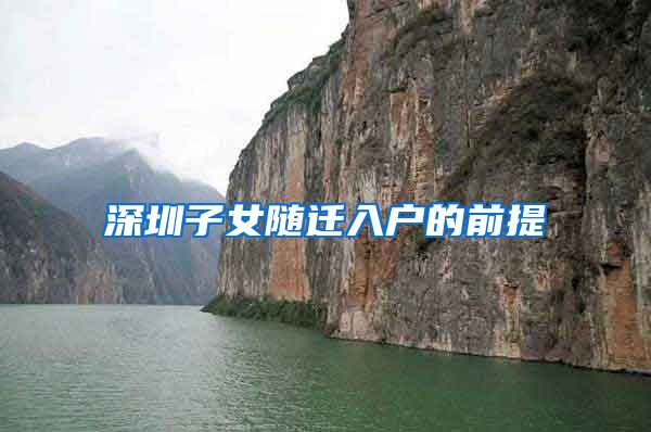 深圳子女随迁入户的前提