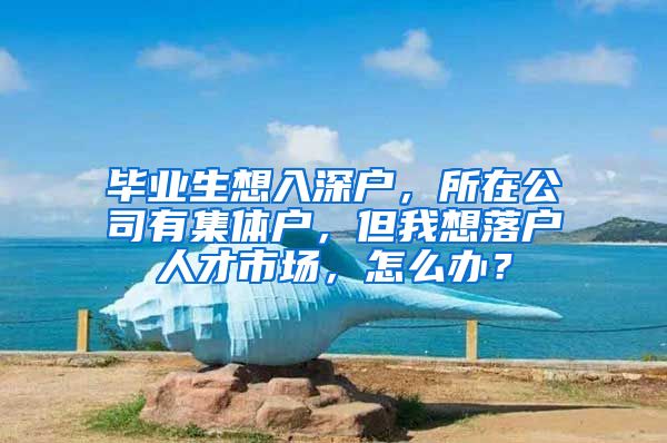 毕业生想入深户，所在公司有集体户，但我想落户人才市场，怎么办？