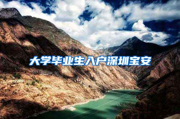 大学毕业生入户深圳宝安