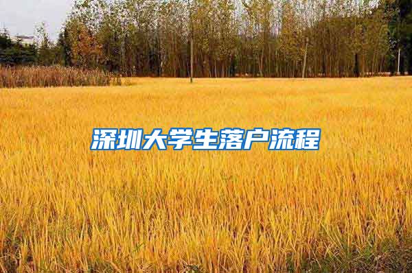 深圳大学生落户流程