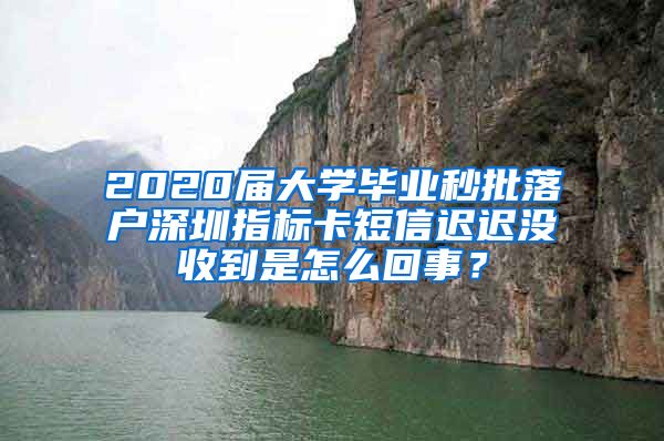 2020届大学毕业秒批落户深圳指标卡短信迟迟没收到是怎么回事？