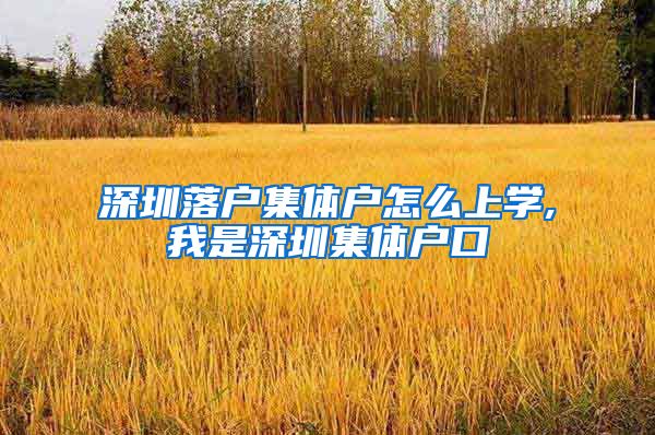 深圳落户集体户怎么上学,我是深圳集体户口