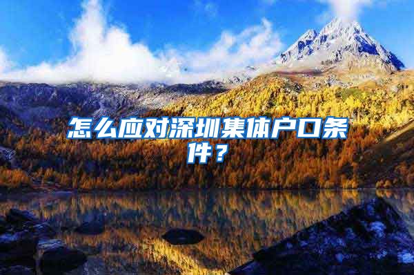 怎么应对深圳集体户口条件？