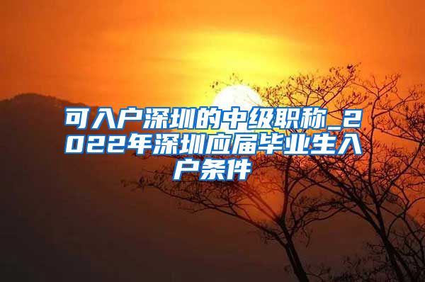可入户深圳的中级职称_2022年深圳应届毕业生入户条件