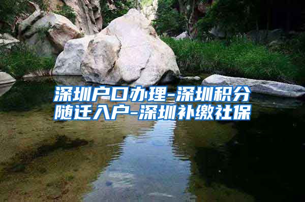 深圳户口办理-深圳积分随迁入户-深圳补缴社保