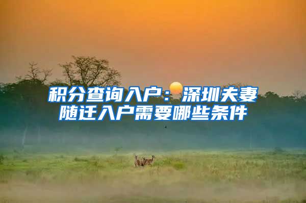 积分查询入户：深圳夫妻随迁入户需要哪些条件