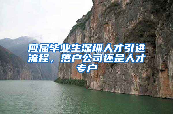 应届毕业生深圳人才引进流程，落户公司还是人才专户