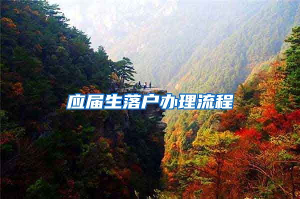 应届生落户办理流程