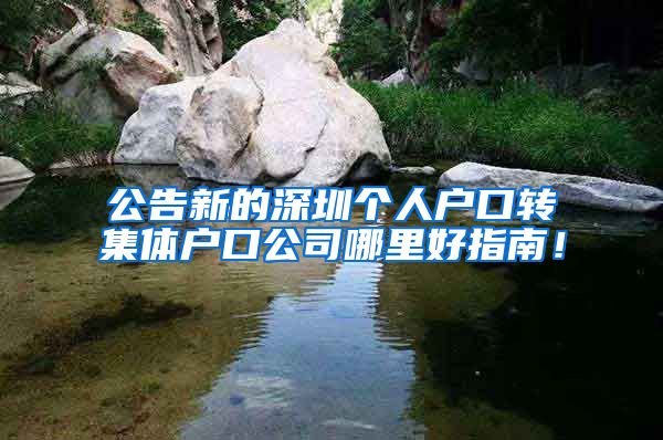 公告新的深圳个人户口转集体户口公司哪里好指南！