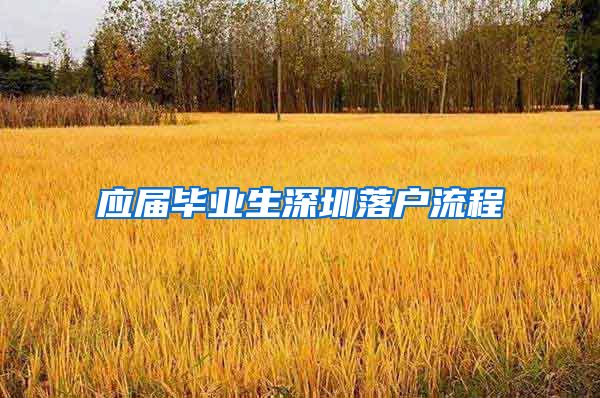 应届毕业生深圳落户流程