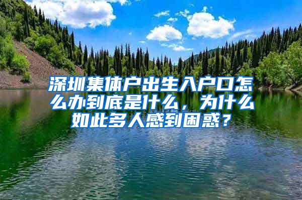 深圳集体户出生入户口怎么办到底是什么，为什么如此多人感到困惑？