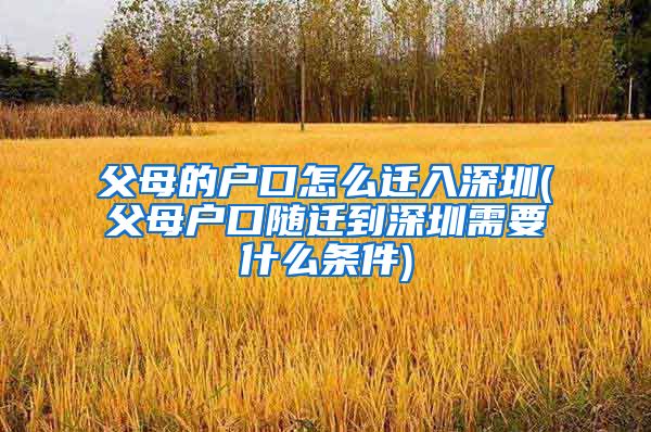 父母的户口怎么迁入深圳(父母户口随迁到深圳需要什么条件)