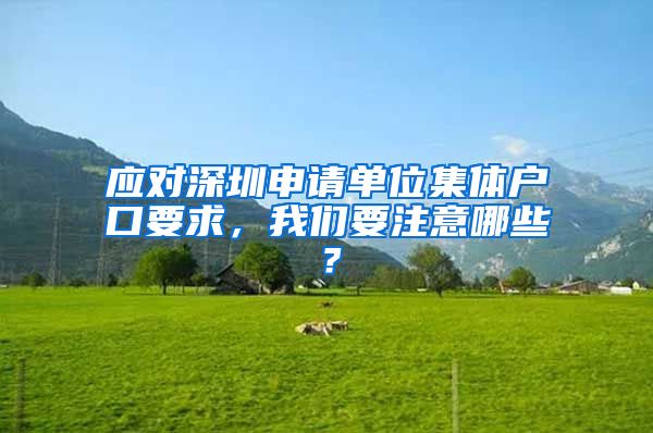 应对深圳申请单位集体户口要求，我们要注意哪些？