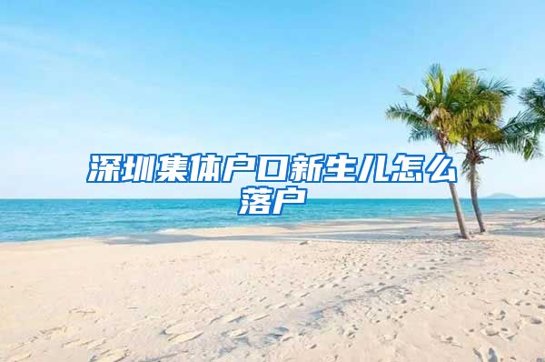 深圳集体户口新生儿怎么落户
